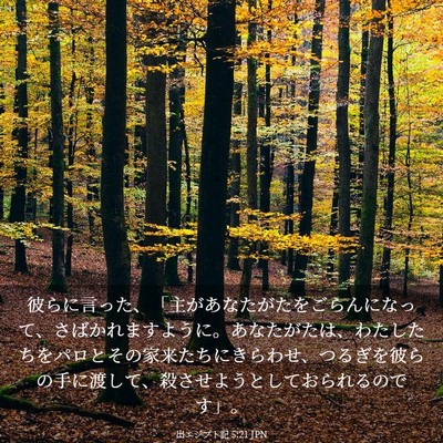 Picture 03 - 出エジプト記 5:21 JPN - 彼らに言った、「主があなたがたを - Bible Verse Picture