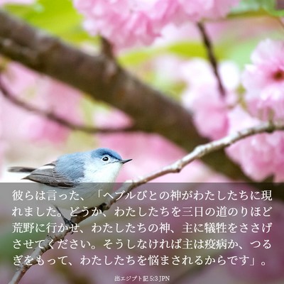 Picture 03 - 出エジプト記 5:3 JPN - 彼らは言った、「ヘブルびとの神が - Bible Verse Picture