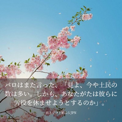 Picture 03 - 出エジプト記 5:5 JPN - パロはまた言った、「見よ、今や土 - Bible Verse Picture