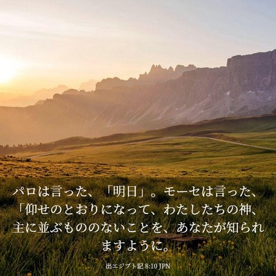 Picture 03 - 出エジプト記 8:10 JPN - パロは言った、「明日」。モーセは - Bible Verse Picture