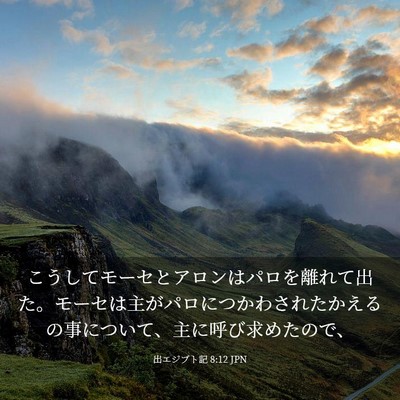 Picture 03 - 出エジプト記 8:12 JPN - こうしてモーセとアロンはパロを離 - Bible Verse Picture