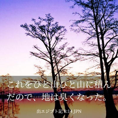Picture 03 - 出エジプト記 8:14 JPN - これをひと山ひと山に積んだので、 - Bible Verse Picture