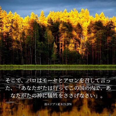 Picture 03 - 出エジプト記 8:25 JPN - そこで、パロはモーセとアロンを召 - Bible Verse Picture