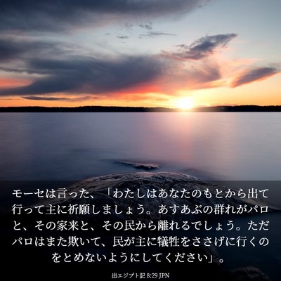 Picture 03 - 出エジプト記 8:29 JPN - モーセは言った、「わたしはあなた - Bible Verse Picture