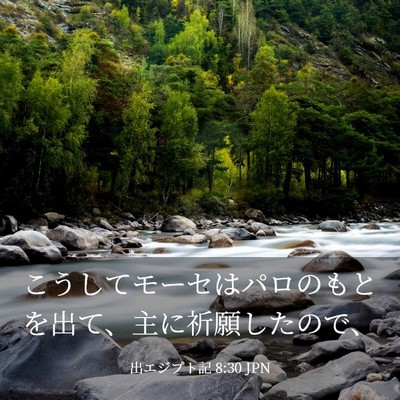Picture 03 - 出エジプト記 8:30 JPN - こうしてモーセはパロのもとを出て - Bible Verse Picture