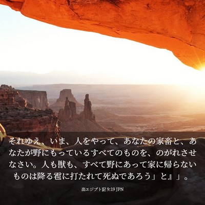 Picture 03 - 出エジプト記 9:19 JPN - それゆえ、いま、人をやって、あな - Bible Verse Picture