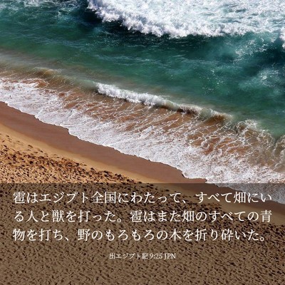 Picture 03 - 出エジプト記 9:25 JPN - 雹はエジプト全国にわたって、すべ - Bible Verse Picture