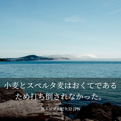 Picture 03 - 出エジプト記 9:32 JPN - 小麦とスペルタ麦はおくてであるた - Bible Verse Picture