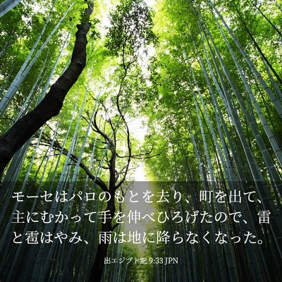 Picture 03 - 出エジプト記 9:33 JPN - モーセはパロのもとを去り、町を出 - Bible Verse Picture