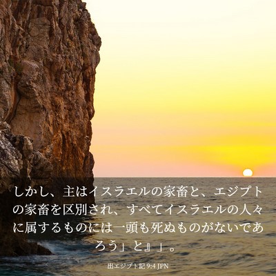 Picture 03 - 出エジプト記 9:4 JPN - しかし、主はイスラエルの家畜と、 - Bible Verse Picture