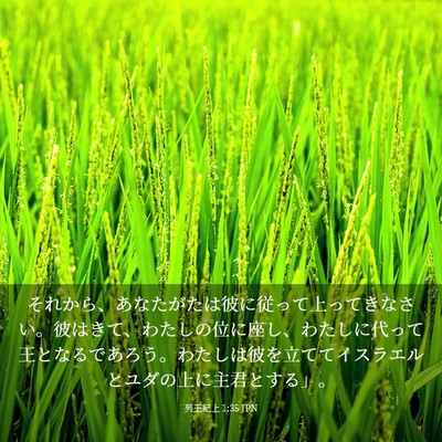 Picture 03 - 列王紀上 1:35 JPN - それから、あなたがたは彼に従って - Bible Verse Picture