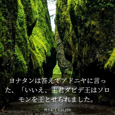 Picture 03 - 列王紀上 1:43 JPN - ヨナタンは答えてアドニヤに言った - Bible Verse Picture