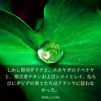 Picture 03 - 列王紀上 1:8 JPN - しかし祭司ザドクと、エホヤダの子 - Bible Verse Picture