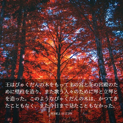 Picture 03 - 列王紀上 10:12 JPN - 王はびゃくだんの木をもって主の宮 - Bible Verse Picture