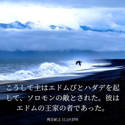 Picture 03 - 列王紀上 11:14 JPN - こうして主はエドムびとハダデを起 - Bible Verse Picture