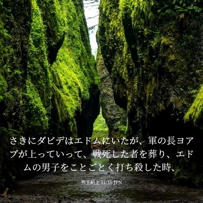 Picture 03 - 列王紀上 11:15 JPN - さきにダビデはエドムにいたが、軍 - Bible Verse Picture