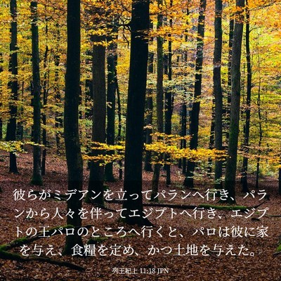 Picture 03 - 列王紀上 11:18 JPN - 彼らがミデアンを立ってパランへ行 - Bible Verse Picture