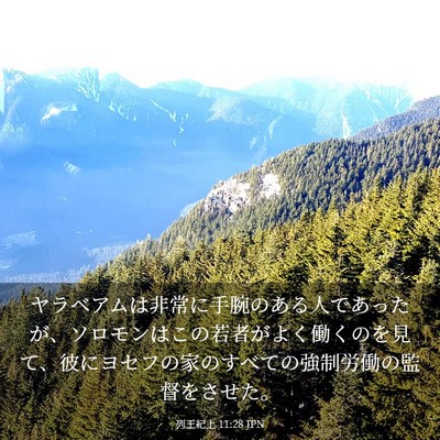 Picture 03 - 列王紀上 11:28 JPN - ヤラベアムは非常に手腕のある人で - Bible Verse Picture