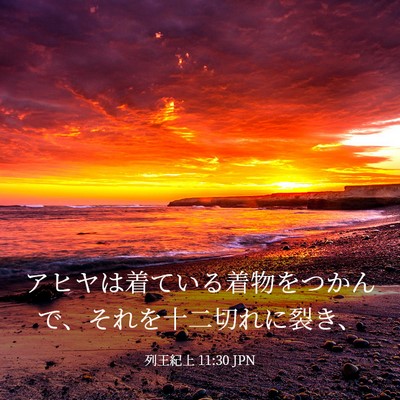 Picture 03 - 列王紀上 11:30 JPN - アヒヤは着ている着物をつかんで、 - Bible Verse Picture