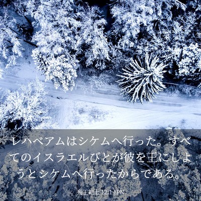 Picture 03 - 列王紀上 12:1 JPN - レハベアムはシケムへ行った。すべ - Bible Verse Picture