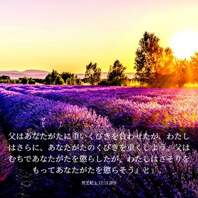 Picture 03 - 列王紀上 12:11 JPN - 父はあなたがたに重いくびきを負わ - Bible Verse Picture
