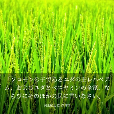 Picture 03 - 列王紀上 12:23 JPN - 「ソロモンの子であるユダの王レハ - Bible Verse Picture
