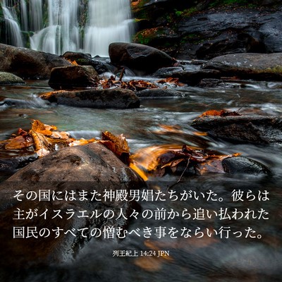 Picture 03 - 列王紀上 14:24 JPN - その国にはまた神殿男娼たちがいた - Bible Verse Picture
