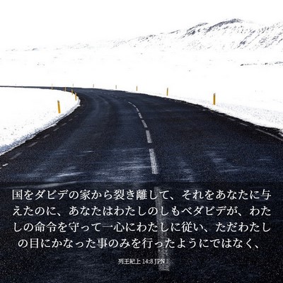 Picture 03 - 列王紀上 14:8 JPN - 国をダビデの家から裂き離して、そ - Bible Verse Picture