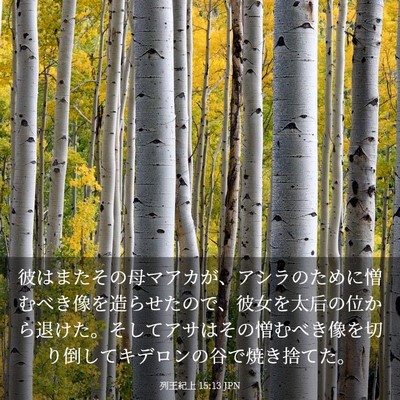 Picture 03 - 列王紀上 15:13 JPN - 彼はまたその母マアカが、アシラの - Bible Verse Picture