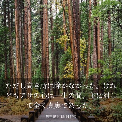 Picture 03 - 列王紀上 15:14 JPN - ただし高き所は除かなかった。けれ - Bible Verse Picture