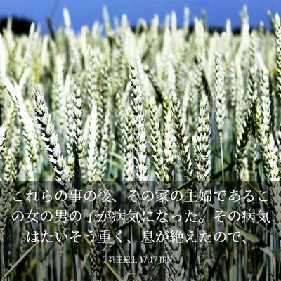 Picture 03 - 列王紀上 17:17 JPN - これらの事の後、その家の主婦であ - Bible Verse Picture
