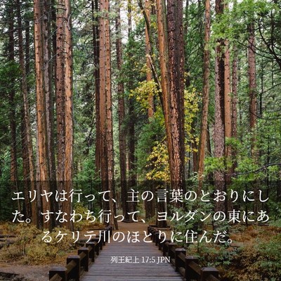 Picture 03 - 列王紀上 17:5 JPN - エリヤは行って、主の言葉のとおり - Bible Verse Picture
