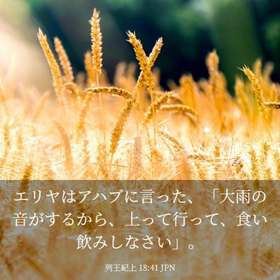 Picture 03 - 列王紀上 18:41 JPN - エリヤはアハブに言った、「大雨の - Bible Verse Picture
