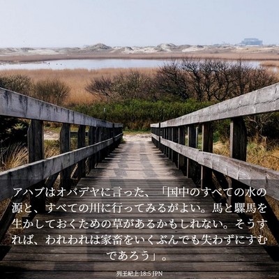 Picture 03 - 列王紀上 18:5 JPN - アハブはオバデヤに言った、「国中 - Bible Verse Picture