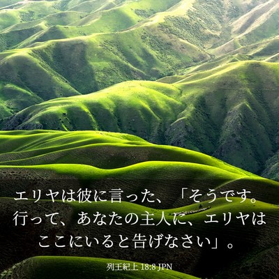 Picture 03 - 列王紀上 18:8 JPN - エリヤは彼に言った、「そうです。 - Bible Verse Picture