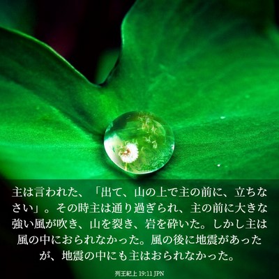 Picture 03 - 列王紀上 19:11 JPN - 主は言われた、「出て、山の上で主 - Bible Verse Picture