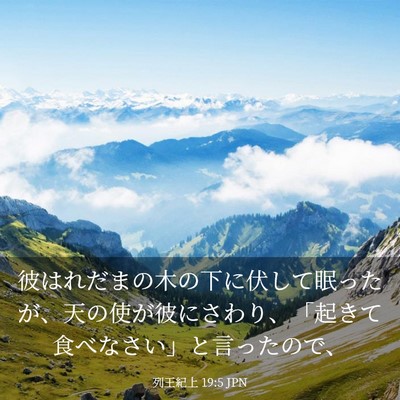 Picture 03 - 列王紀上 19:5 JPN - 彼はれだまの木の下に伏して眠った - Bible Verse Picture