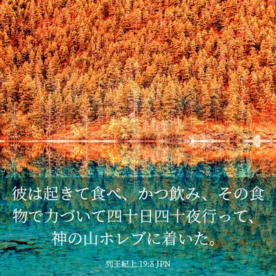 Picture 03 - 列王紀上 19:8 JPN - 彼は起きて食べ、かつ飲み、その食 - Bible Verse Picture