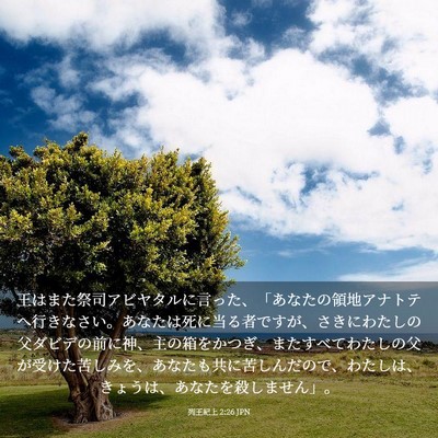 Picture 03 - 列王紀上 2:26 JPN - 王はまた祭司アビヤタルに言った、 - Bible Verse Picture
