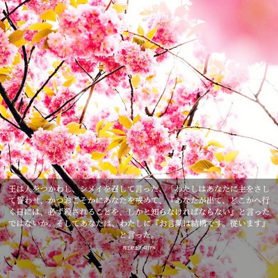 Picture 03 - 列王紀上 2:42 JPN - 王は人をつかわし、シメイを召して - Bible Verse Picture