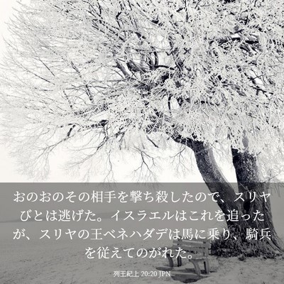 Picture 03 - 列王紀上 20:20 JPN - おのおのその相手を撃ち殺したので - Bible Verse Picture