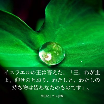 Picture 03 - 列王紀上 20:4 JPN - イスラエルの王は答えた、「王、わ - Bible Verse Picture