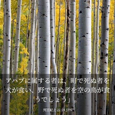 Picture 03 - 列王紀上 21:24 JPN - アハブに属する者は、町で死ぬ者を - Bible Verse Picture