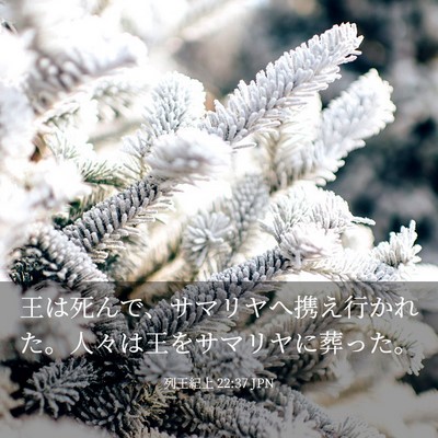 Picture 03 - 列王紀上 22:37 JPN - 王は死んで、サマリヤへ携え行かれ - Bible Verse Picture