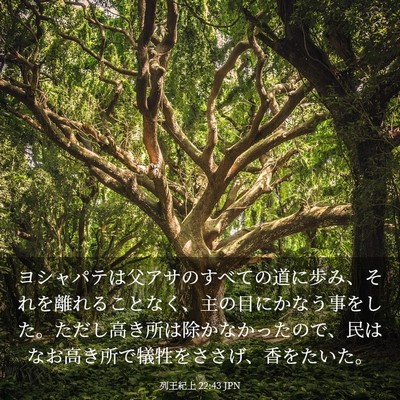 Picture 03 - 列王紀上 22:43 JPN - ヨシャパテは父アサのすべての道に - Bible Verse Picture
