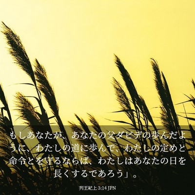Picture 03 - 列王紀上 3:14 JPN - もしあなたが、あなたの父ダビデの - Bible Verse Picture