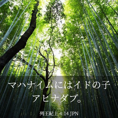 Picture 03 - 列王紀上 4:14 JPN - マハナイムにはイドの子アヒナダブ - Bible Verse Picture