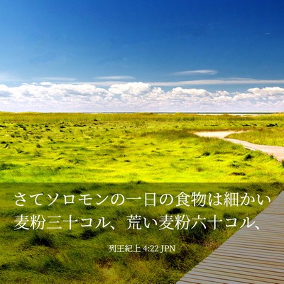 Picture 03 - 列王紀上 4:22 JPN - さてソロモンの一日の食物は細かい - Bible Verse Picture