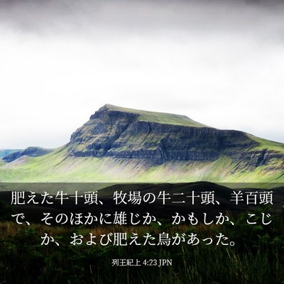 Picture 03 - 列王紀上 4:23 JPN - 肥えた牛十頭、牧場の牛二十頭、羊 - Bible Verse Picture