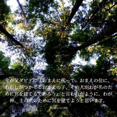 Picture 03 - 列王紀上 5:5 JPN - 主が父ダビデに『おまえに代って、 - Bible Verse Picture